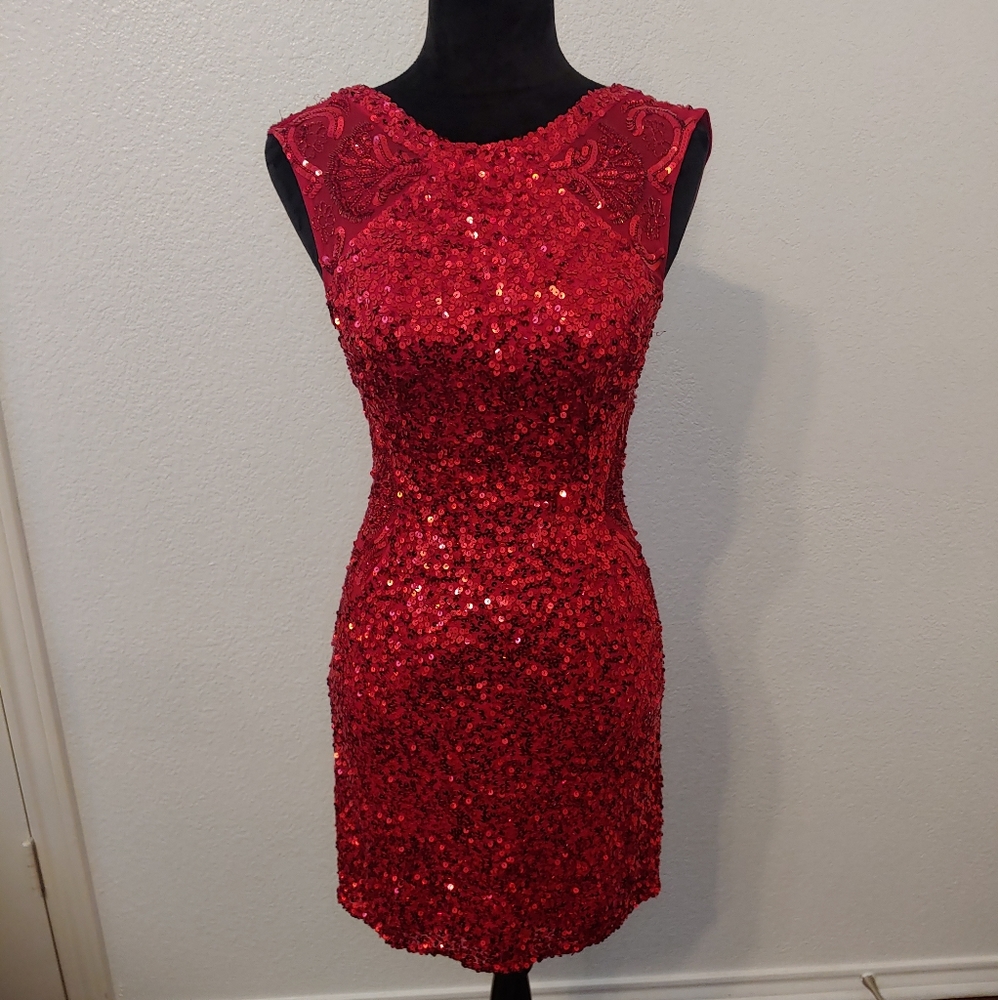 Sparkly Red Dress